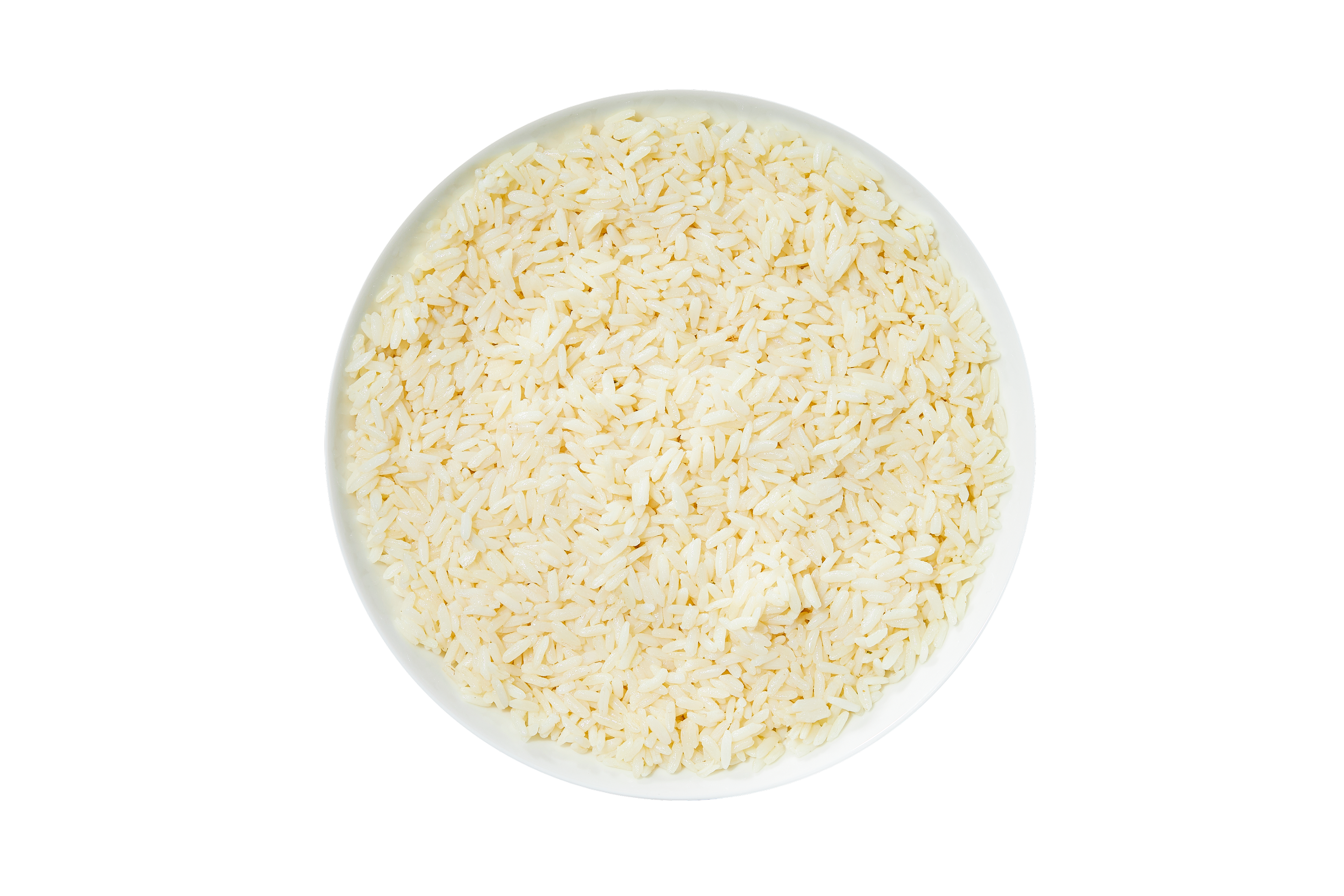 White Rice